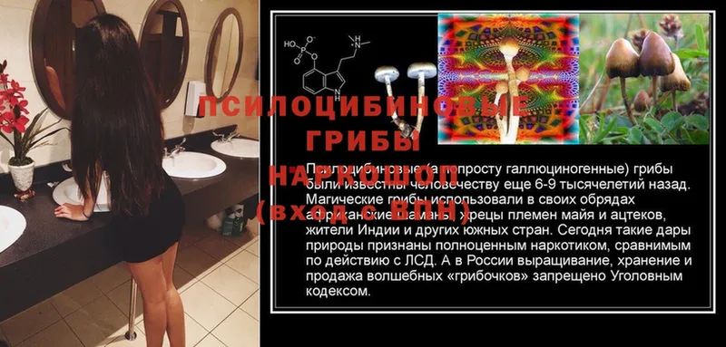 мориарти как зайти  купить   Невельск  Псилоцибиновые грибы Cubensis  МЕГА зеркало 